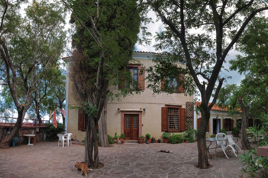 Lela Kaptani Eftalou Olive Grove มิธิมนา ภายนอก รูปภาพ