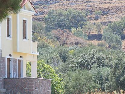 Lela Kaptani Eftalou Olive Grove มิธิมนา ภายนอก รูปภาพ